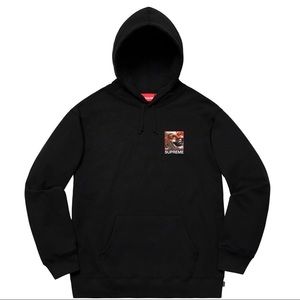 Supreme/Butthole Surfers Hooded Sweatshirt